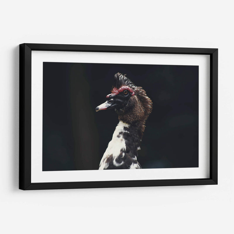 Porte silvestre - Ana Zagal  | Cuadro decorativo de Canvas Lab