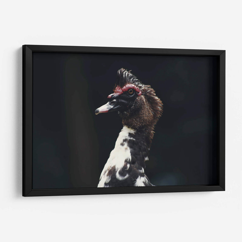 Porte silvestre - Ana Zagal  | Cuadro decorativo de Canvas Lab