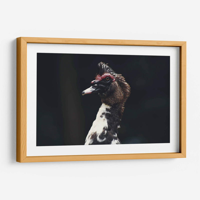 Porte silvestre - Ana Zagal  | Cuadro decorativo de Canvas Lab