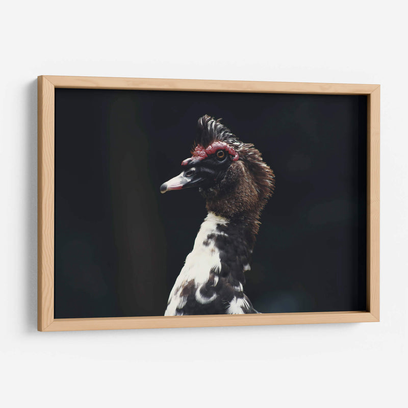 Porte silvestre - Ana Zagal  | Cuadro decorativo de Canvas Lab