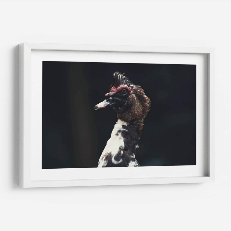 Porte silvestre - Ana Zagal  | Cuadro decorativo de Canvas Lab