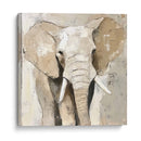 Elefante Impasto - Dav Madrid | Cuadro decorativo de Canvas Lab