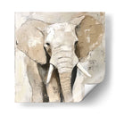 Elefante Impasto - Dav Madrid | Cuadro decorativo de Canvas Lab