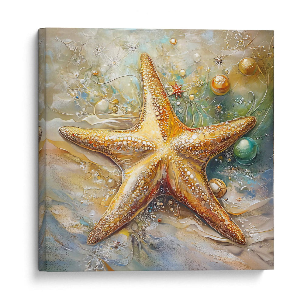 Estrella de Mar II - Dav Madrid | Cuadro decorativo de Canvas Lab
