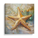 Estrella de Mar II - Dav Madrid | Cuadro decorativo de Canvas Lab