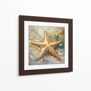 Estrella de Mar II - Dav Madrid | Cuadro decorativo de Canvas Lab