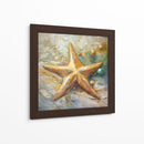 Estrella de Mar II - Dav Madrid | Cuadro decorativo de Canvas Lab