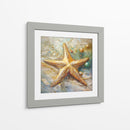 Estrella de Mar II - Dav Madrid | Cuadro decorativo de Canvas Lab