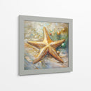 Estrella de Mar II - Dav Madrid | Cuadro decorativo de Canvas Lab