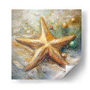 Estrella de Mar II - Dav Madrid | Cuadro decorativo de Canvas Lab