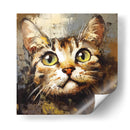 Gato curioso - Dav Madrid | Cuadro decorativo de Canvas Lab