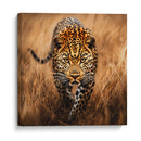 Jaguar Observando - Dav Madrid | Cuadro decorativo de Canvas Lab
