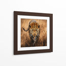 Jaguar Observando - Dav Madrid | Cuadro decorativo de Canvas Lab