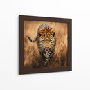 Jaguar Observando - Dav Madrid | Cuadro decorativo de Canvas Lab