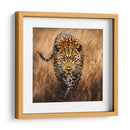 Jaguar Observando - Dav Madrid | Cuadro decorativo de Canvas Lab