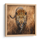 Jaguar Observando - Dav Madrid | Cuadro decorativo de Canvas Lab