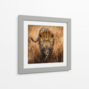 Jaguar Observando - Dav Madrid | Cuadro decorativo de Canvas Lab