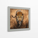 Jaguar Observando - Dav Madrid | Cuadro decorativo de Canvas Lab