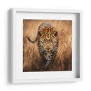 Jaguar Observando - Dav Madrid | Cuadro decorativo de Canvas Lab