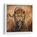 Jaguar Observando - Dav Madrid | Cuadro decorativo de Canvas Lab