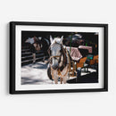 Caballo trabajando - Donaldo Meda  | Cuadro decorativo de Canvas Lab