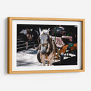 Caballo trabajando - Donaldo Meda  | Cuadro decorativo de Canvas Lab