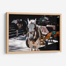 Caballo trabajando - Donaldo Meda  | Cuadro decorativo de Canvas Lab