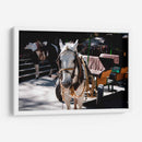 Caballo trabajando - Donaldo Meda  | Cuadro decorativo de Canvas Lab