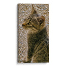 Kitty 01 - Gilbert2133  | Cuadro decorativo de Canvas Lab