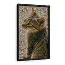 Kitty 01 - Gilbert2133  | Cuadro decorativo de Canvas Lab