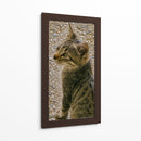 Kitty 01 - Gilbert2133  | Cuadro decorativo de Canvas Lab