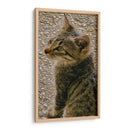 Kitty 01 - Gilbert2133  | Cuadro decorativo de Canvas Lab
