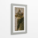 Kitty 01 - Gilbert2133  | Cuadro decorativo de Canvas Lab
