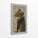 Kitty 01 - Gilbert2133  | Cuadro decorativo de Canvas Lab