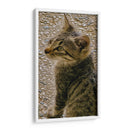 Kitty 01 - Gilbert2133  | Cuadro decorativo de Canvas Lab