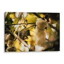 EL ÁRBOL DEL HILO - Zuriel Halal | Cuadro decorativo de Canvas Lab