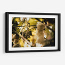 EL ÁRBOL DEL HILO - Zuriel Halal | Cuadro decorativo de Canvas Lab