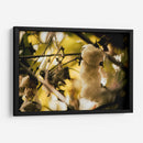 EL ÁRBOL DEL HILO - Zuriel Halal | Cuadro decorativo de Canvas Lab