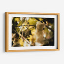 EL ÁRBOL DEL HILO - Zuriel Halal | Cuadro decorativo de Canvas Lab