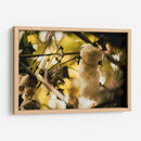 EL ÁRBOL DEL HILO - Zuriel Halal | Cuadro decorativo de Canvas Lab