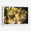 EL ÁRBOL DEL HILO - Zuriel Halal | Cuadro decorativo de Canvas Lab