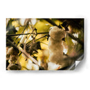 EL ÁRBOL DEL HILO - Zuriel Halal | Cuadro decorativo de Canvas Lab