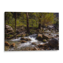 Rio Corriendo - Donaldo Meda  | Cuadro decorativo de Canvas Lab