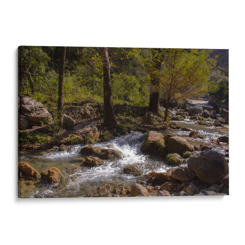 Rio Corriendo - Donaldo Meda  | Cuadro decorativo de Canvas Lab