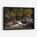 Rio Corriendo - Donaldo Meda  | Cuadro decorativo de Canvas Lab