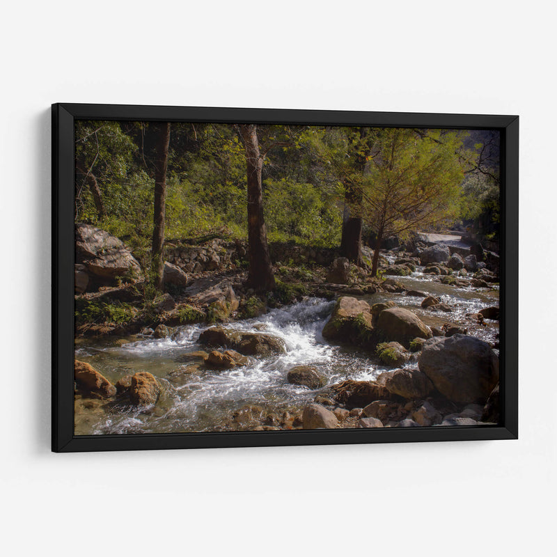 Rio Corriendo - Donaldo Meda  | Cuadro decorativo de Canvas Lab