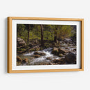 Rio Corriendo - Donaldo Meda  | Cuadro decorativo de Canvas Lab
