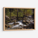 Rio Corriendo - Donaldo Meda  | Cuadro decorativo de Canvas Lab