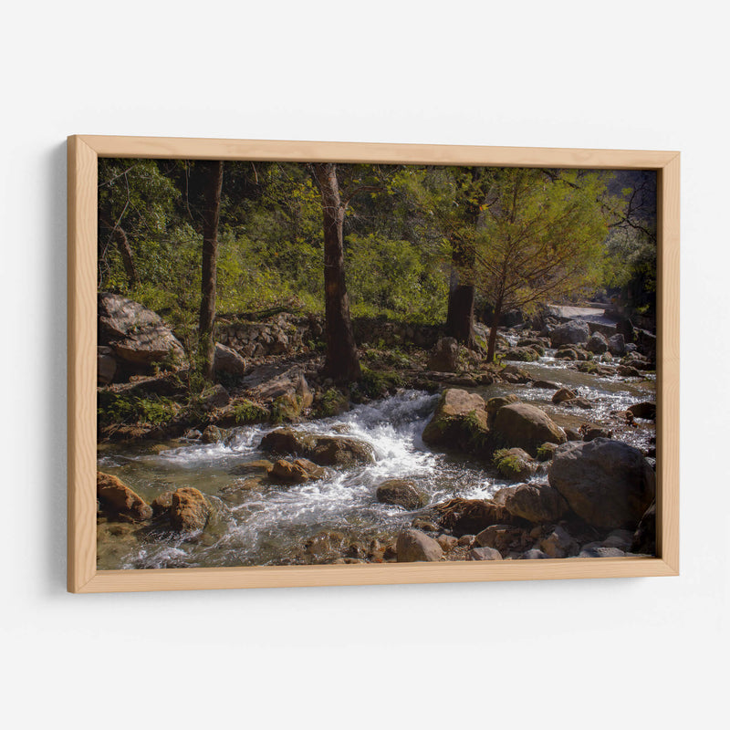 Rio Corriendo - Donaldo Meda  | Cuadro decorativo de Canvas Lab