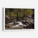 Rio Corriendo - Donaldo Meda  | Cuadro decorativo de Canvas Lab